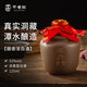 不老潭糧食酒濃香型高度散裝陶壇高粱酒自飲送禮不老壇洞藏酒52度125ml