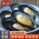 遇上鮮 舟山鮮活海虹 嵊泗淡菜新鮮青口貝 海鮮水產(chǎn) 野生大號貽貝 【新鮮海虹】 5斤(凈重)