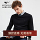 七匹狼【純羊毛】毛衣毛衫時(shí)尚休閑薄毛衫彈力舒適柔軟男裝針織衫 001(黑色) L 170/88A
