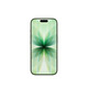 Apple/蘋(píng)果 iPhone 17 512GB 鼠尾草綠色 支持移動(dòng)聯(lián)通電信5G 雙卡雙待手機
