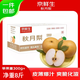 京鮮生山東煙臺萊陽(yáng)秋月梨凈重8斤 單果300g+ 生鮮水果 源頭直發(fā)包郵