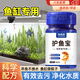 魚(yú)缸凈水片硝化細菌長(cháng)效消毒殺菌用大小蘇打養魚(yú)劑自來(lái)困除臭去腥 魚(yú)缸凈水片長(cháng)效消毒殺菌除臭專(zhuān)用