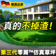 清雅仿真草坪地毯假草皮鋪墊塑料戶(hù)外人造球場(chǎng)人工圍擋幼兒園綠色地墊 3厘米全新升級特級特密質(zhì)保S級款 (1米寬10米長(cháng))10平方