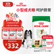 皇家狗糧 成犬狗糧 犬糧 寵物小型犬 PR27 全價(jià)犬糧≥10月8KG