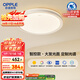 歐普（OPPLE）吸頂燈智控調光LED照明燈具全光譜智慧光圓臥包安裝 品見(jiàn)4白