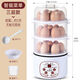 玩皮熊智能煮蛋器定時(shí)自動(dòng)斷電蒸蛋器家用多功能小型蒸蛋羹煎蛋 色智能預約定時(shí)款三層+4禮