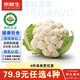 京鮮生&聽(tīng)蔬 有機菜花1斤凈重 白花菜有機認證無(wú)農殘激素 源頭直發(fā)