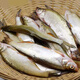 順豐微山湖野捕新鮮小白條魚(yú)翹嘴魚(yú)刁子魚(yú)淡水小河魚(yú)活魚(yú)現殺發(fā)貨 大號翹嘴魚(yú)【每斤8-15條左右】 1斤裝【殺好凈膛發(fā)貨損耗15%】