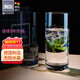 肖特圣維莎（SCHOTT ZWIESEL） 德國(guó)原裝進(jìn)口 無(wú)鉛水晶玻璃水杯 泡綠茶玻璃杯明前龍井茶杯 安全 370ML單只