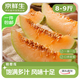 京鮮生 海南西州蜜哈密瓜 凈重8-9斤 單果2.3斤起 3-4個(gè)裝 源頭直發(fā)包郵