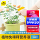 史丹利免稀釋營(yíng)養液植物通用型發(fā)財樹(shù)富貴竹花卉綠植肥料花肥專(zhuān)用250ml