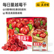 三只松鼠生活館 每日蔓越莓干256g/盒共16包果干蜜餞果脯零食【清潔標簽】 【16g*16包】每日蔓越莓干256g*1盒
