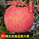 【陜西長(cháng)武蘋(píng)果】產(chǎn)地直供紅富士秦脆蜜脆瑞陽(yáng)瑞雪新鮮高海拔蘋(píng)果 秦脆 5斤裝（凈重4.5斤 普通彩箱裝）
