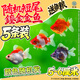 凱希慕金魚(yú)小魚(yú)觀(guān)賞魚(yú)【運輸包損】活體新手好養冷水魚(yú)淡水魚(yú)蘭壽金魚(yú) 5-6cm短尾鎏金金魚(yú)5條隨機顏色 送魚(yú)糧
