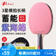 拍里奧（Palio）乒乓球拍三星4星初學(xué)訓練高彈反膠球拍兒童學(xué)生球拍 三星/橫拍一支/雙面紫海綿/禮包