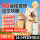 閑鳥寵物定位器gps追蹤器狗狗貓咪防丟失5G跟蹤神器掛脖項(xiàng)圈防水防拆 小型專用：5G定位+一鍵喚寵+項(xiàng)圈 尋寵計(jì)劃超長續(xù)航版【0-1m誤差】