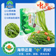 海芝寶榮成海帶 有機鹽漬海帶絲 500g*2袋 涼拌火鍋涮湯 中秋送禮