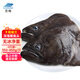 靈略格陵蘭鰈魚頭350-450g/只*3 深海鴉片魚頭比目魚頭海鮮水產(chǎn)魚類