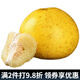 迭果梁平柚子重慶特產(chǎn)龍灘梁山麻柚子平頂柚新鮮水果農家現摘 20斤裝大果8-10個(gè) 整箱