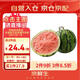 京鮮生 麒麟西瓜 1粒裝 單果5-7斤 中秋生鮮水果