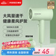 飛科（FLYCO）博銳電吹風機吹頭發(fā)家用大功率不傷發(fā)便攜護發(fā)吹風筒女士宿舍用京東自營 國家補貼 翡翠綠PH1628