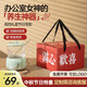 美至尚迷你養(yǎng)生壺全玻璃辦公室一人用養(yǎng)生燒水壺?zé)踔髩匾惑w小型壺煮茶器花茶電燉杯中秋節(jié)禮物送員工實(shí)用 奶油綠套裝（機(jī)械款）—紅色禮盒 0.6L