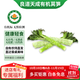 有機萵筍 云南高原種植無(wú)農殘青筍 新鮮有機蔬菜時(shí)令生鮮現摘 有機萵筍3斤嘗鮮裝*1份