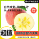 良田石山正宗大漠冰糖心蘋(píng)果水果時(shí)令脆甜丑蘋(píng)果新生鮮孕婦水果生鮮整箱 精選8個(gè)嘗鮮裝 單果約為110g±5g