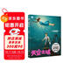 天空之城 宮崎駿作品 吉卜力官方審核認定唯一簡(jiǎn)體中文版繪本 龍貓 千與千尋 崖上的波妞后 宮崎駿又一經(jīng)典力作 吉卜力官方指定譯本 人人心中都有一座天空之城