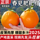 甜萌果蔬四川春見(jiàn)耙耙柑 新鮮水果應季丑柑橘粑粑柑時(shí)令整箱送禮 5斤活動(dòng)裝【果香四溢|單果約80mm+】?jì)糁?.5