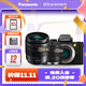 松下（Panasonic）Lumix G100D M43畫(huà)幅相機 M43卡口 微單相機 無(wú)反數碼相機 G100D+【12-60+25F1.7】雙白盒套裝