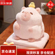 ZOCO二合一抱枕被子兩用辦公室小毯子午睡卡通風(fēng)毛毯枕頭車(chē)載車(chē)用靠枕 粉色水豚 三合一抱枕暖手內含毯子1x1.7
