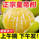 正宗廣西皇帝柑大果10斤新鮮水果蜜桔香甜橘子貢柑砂糖桔子沃5柑 9斤