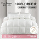 皮爾卡丹 暖絨抗菌 100%羽毛被加厚被子 雙人冬被 6斤 200*230cm 白色