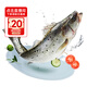 鴻順?三去海鱸魚(yú)3斤3條 去鱗去腮去內臟 國產(chǎn) 生鮮魚(yú)類(lèi) 源頭直發(fā)