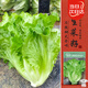 壽禾 生菜種子苗四季家庭盆栽種植蔬菜種籽 全年生菜種子11g約8000粒