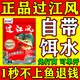 過(guò)江風(fēng)餌料正品濃腥餌料黑坑野釣專(zhuān)用釣大板鯽魚(yú)鯉魚(yú)過(guò)江風(fēng)魚(yú)餌 1袋裝【連桿不斷】