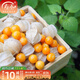 壽禾 東北姑娘果燈籠果種子洋菇娘黃金莓盆栽蔬菜陽(yáng)臺盆栽秋冬季種籽 粒粒甜小黃菇娘種子 5g裝