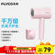 飛科（FLYCO）電吹風(fēng)機(jī)負(fù)離子家用大功率不傷發(fā)吹風(fēng)筒宿舍學(xué)生便攜可折疊 【1800W可折疊】淡粉色