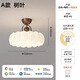 迪格雅全光譜護眼創(chuàng  )意極簡(jiǎn)臥室吸頂燈中古奶油風(fēng)主臥書(shū)房半吸頂燈 A款樹(shù)葉【全光譜護眼】 三色變光【墻壁開(kāi)關(guān)控制】