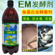 益富源魚(yú)蛋白發(fā)酵劑em菌液氨基酸水溶肥魚(yú)腸化渣寶不臭菌種肉微生物菌劑 em菌液魚(yú)蛋白發(fā)酵（1瓶2斤）