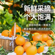 假一罰十正宗信豐贛南臍橙應季橙子甜橙整箱送禮首選產(chǎn)地果農直發(fā) 5斤（含箱） 80-90mm（精品果）