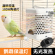 茨格曼鸚鵡保溫燈蘆丁雞無(wú)光陶瓷防燙防咬取暖器鳥(niǎo)籠加熱燈幼鳥(niǎo)過(guò)冬神器