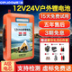 德力普（Delipow）12V鋰電池 大容量多功能戶(hù)外鋰電瓶/車(chē)載照明/備用電源/通用逆變器 12V125A型【配豪華禮包6件套】