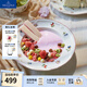 德國唯寶（Villeroy&Boch）小花園系列 進(jìn)口精細餐具瓷器 歐式餐盤(pán) 家用餐盤(pán)碗精細瓷器 深盤(pán) 20cm