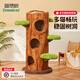 喵想樹(shù)天然果木絨布貓爬架大中小型樹(shù)洞豪華一體貓爬架寵物用貓窩不占地 綠野仙蹤樹(shù)屋