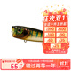 EOA龔磊波爬G-popper66水面系波爬磁力重心轉移路亞硬餌鱸魚(yú)仿生假餌 10g-04#馬口