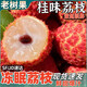 鎖季黑葉荔枝【JD順豐】凍眠荔枝液氮鎖鮮多地次日達(dá)水果中秋禮盒送禮 桂味荔枝凈2斤裝【品質(zhì)嘗鮮】
