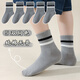 乖小鹿同色無(wú)骨兒童襪子男童春秋純棉秋款中筒襪運動(dòng)防臭春天大童棉襪冬 5雙灰色雙杠 9-12歲 (XL) 適合鞋碼33-37碼