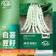 壽禾 白蕓豆種子種苗九粒白四季豆角蔬菜種籽 濰育妍白老來(lái)少種子50g